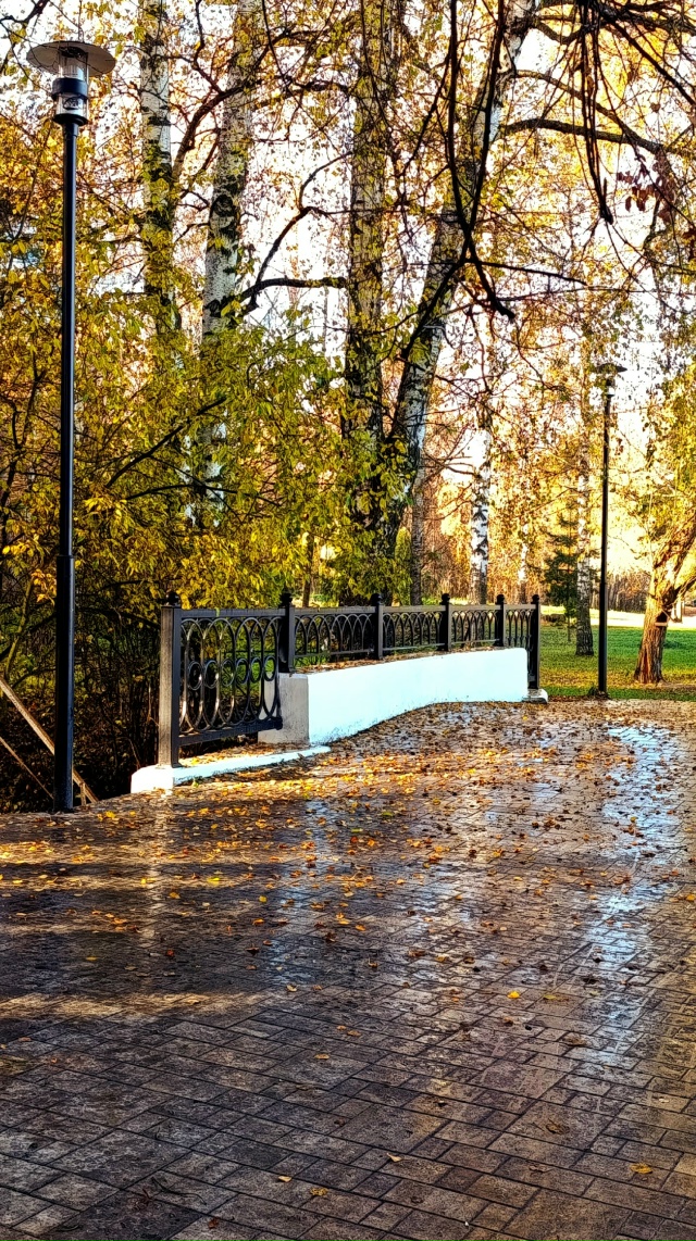 Осенняя Павловская роща🍂