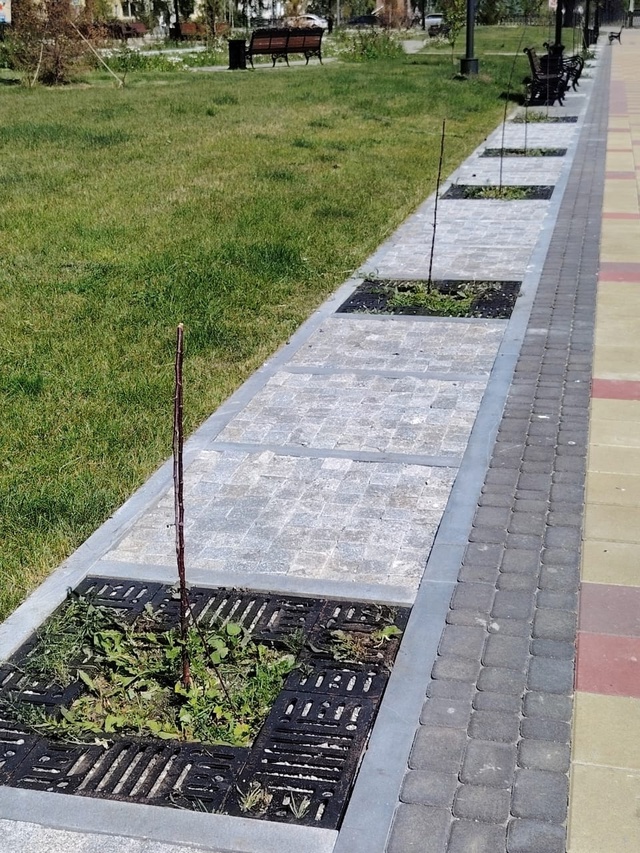 Говорят, хорошо там, где нас нет. И это действительно та...