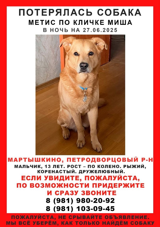 ❗Мартышкино, Петродворцовый р-н
В ночь с 26 на 27 июня пр?...