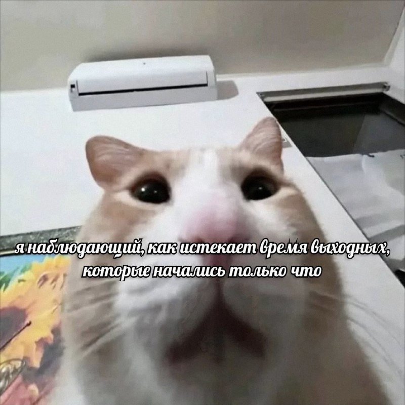 Утренняя подборочка