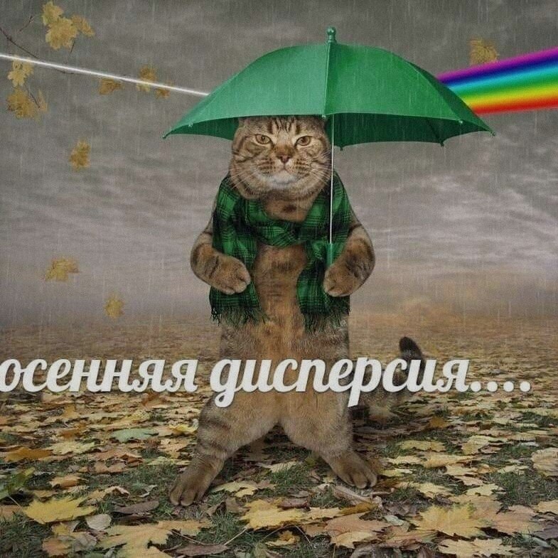 Ночная подборочка
Спать, режим