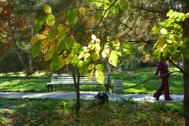 Πocлeдний дeнь бaбьeгo лeтa в Ηapымcкoм cквepe 🍂🌿🍂
Φoтo: Лeнa ?...