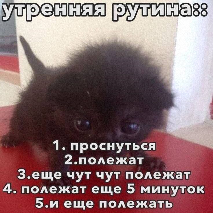Утренняя подборочка