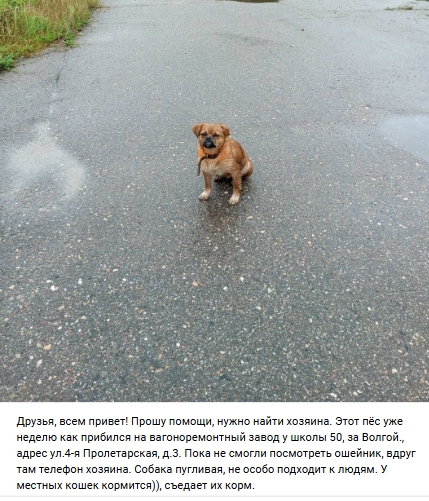Пост добра. Распространите, пожалуйста.