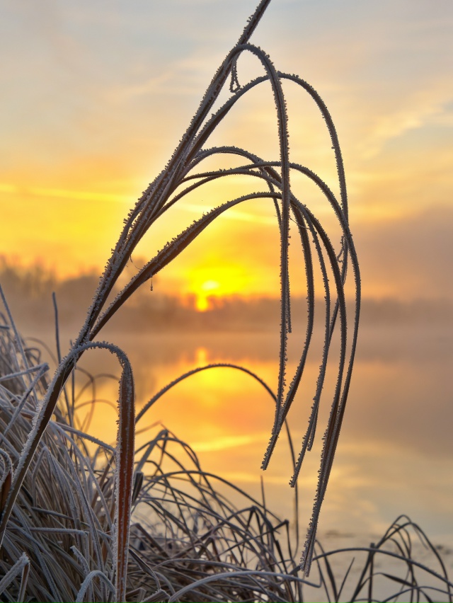 🌅 Волшебный рассвет на реке Урал!
❄ Утро получилось н...