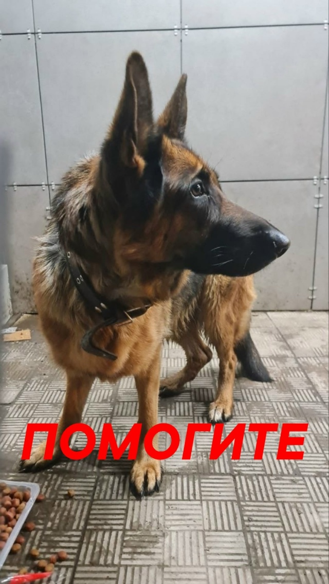 🆘️🆘️🆘️🆘️🆘️🆘️🆘️🆘️🆘️🆘️🆘️🆘️🆘️🆘️??...