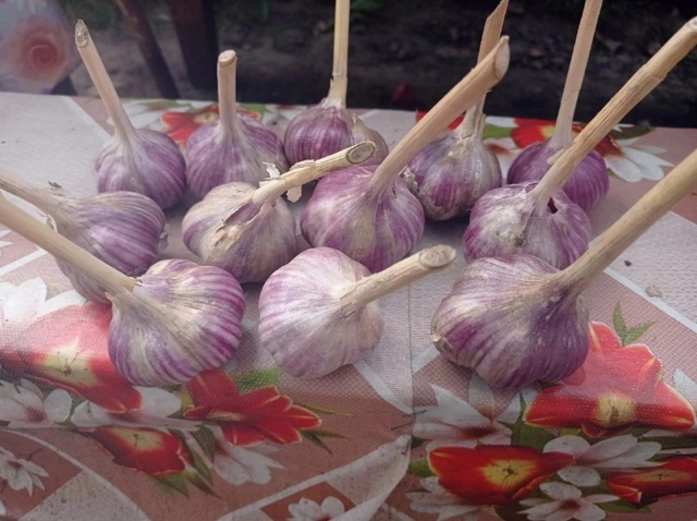 3 октября пятница, на продовольственной части рынка бу?...