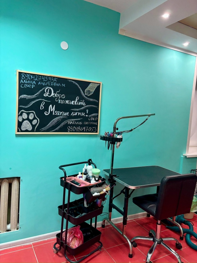 [club224000602|Груминг-студия «Мягкие лапки» г.Ухта]
Дорогие ...