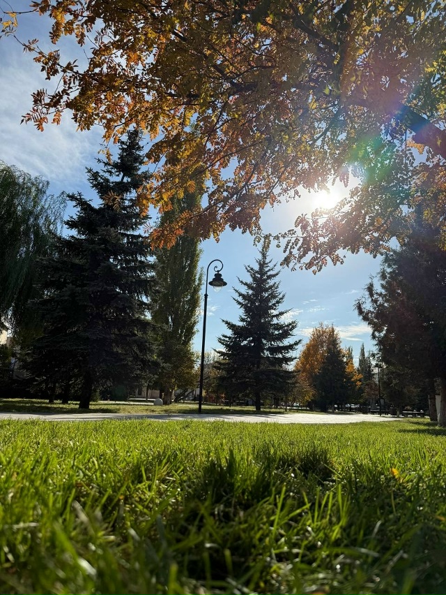 🍁Осенний Бузулук