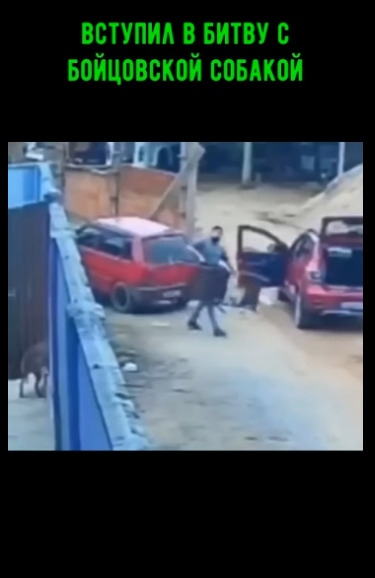 Мужик даже милосердие проявил, не стал ее душить