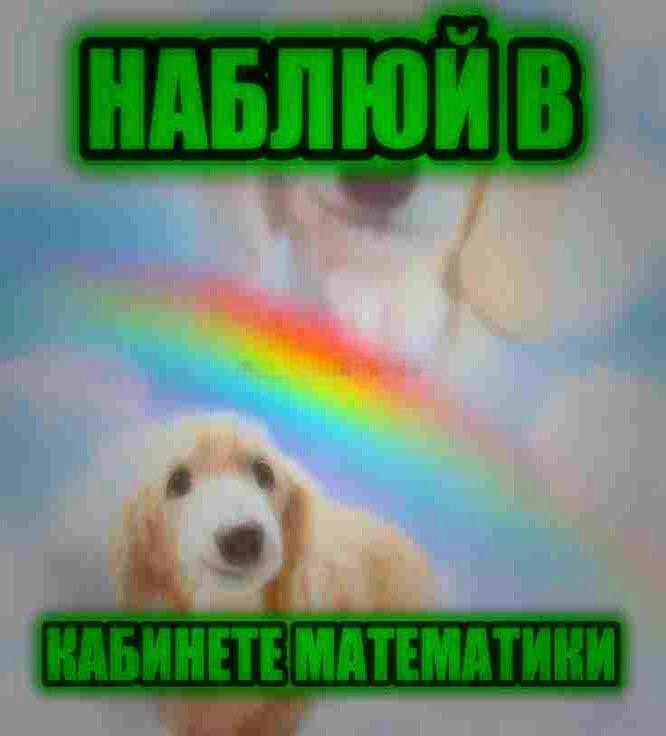 Мой организм абсолютно с нихуя а рандомный вторник в 3 классе