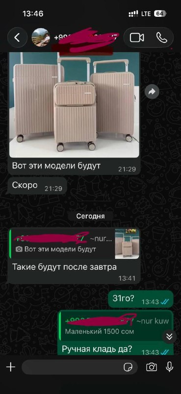 Продавцу чемоданов начали приходить необычные запросы.
Она пыталась.