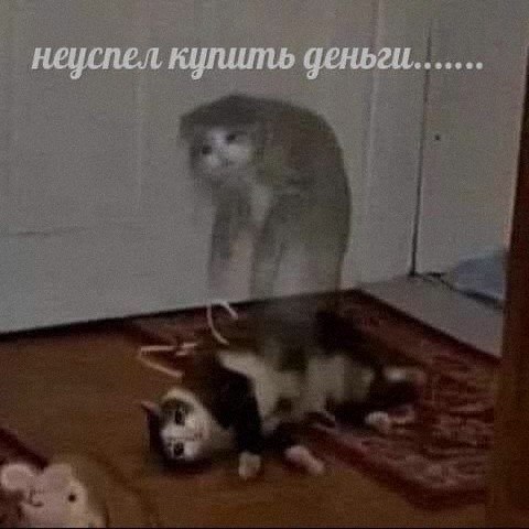 Ночная подборочка
Спать, режим