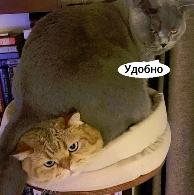 Вот так и живем