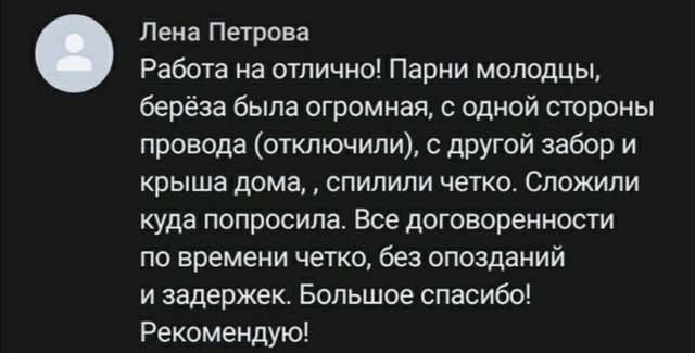 Спил деревьев любой сложности. 89109693256