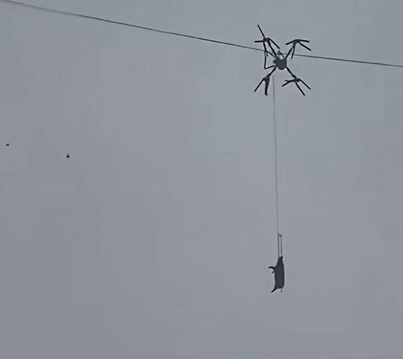 ‼️Свинья на дроне оставила без света тысячи жителей Китая
Фермер решил переправить животное по возд