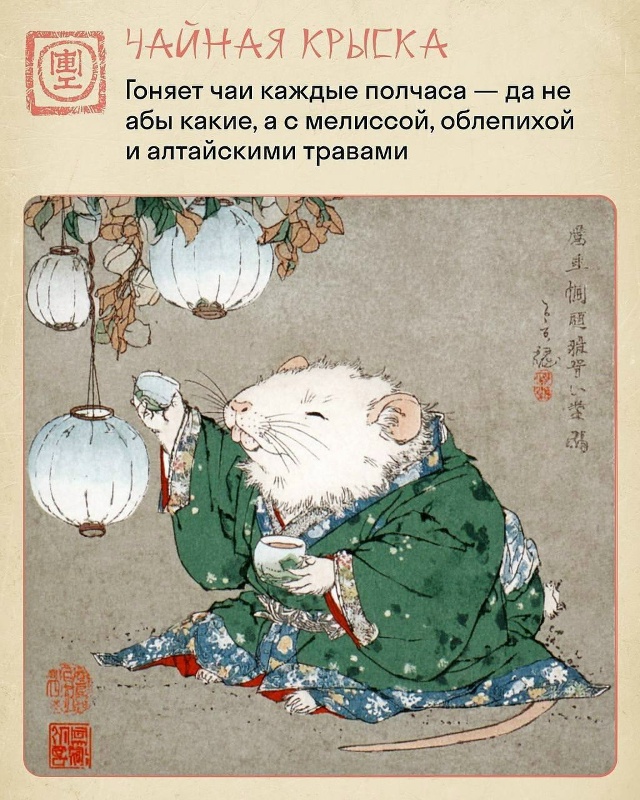 🐀 Чтобы каждый мог посмотреть в зеркало и сказать: «аг...