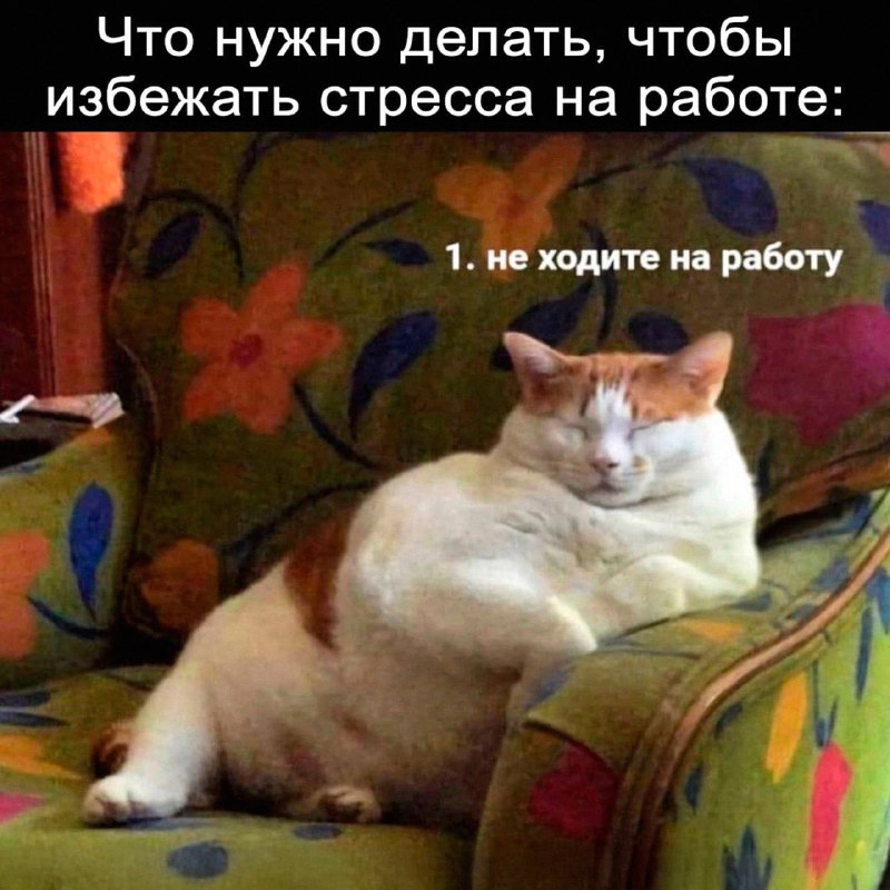 Утренняя подборочка