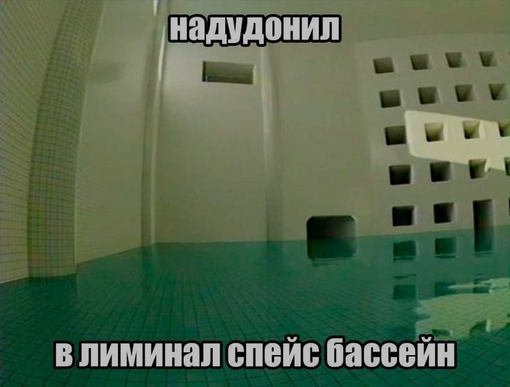 Ночная подборочка
Спать, режим
