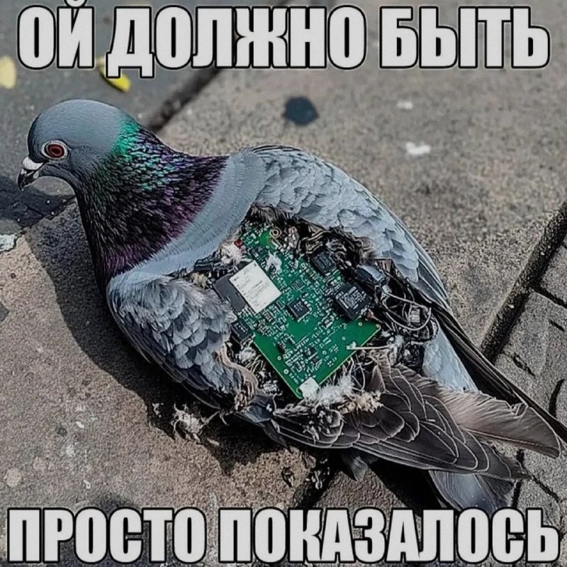 Ночная подборочка
Спать, режим