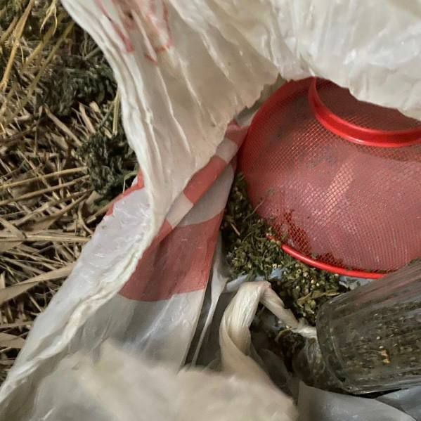 У жителя Смоленщины нашли крупную партию «травки» — Р?...