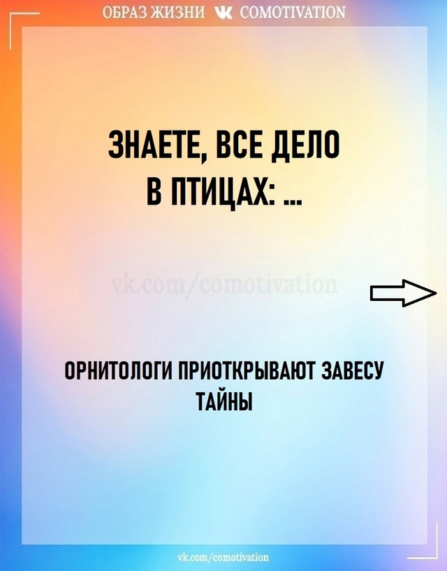 Удивительно, как это происходит.