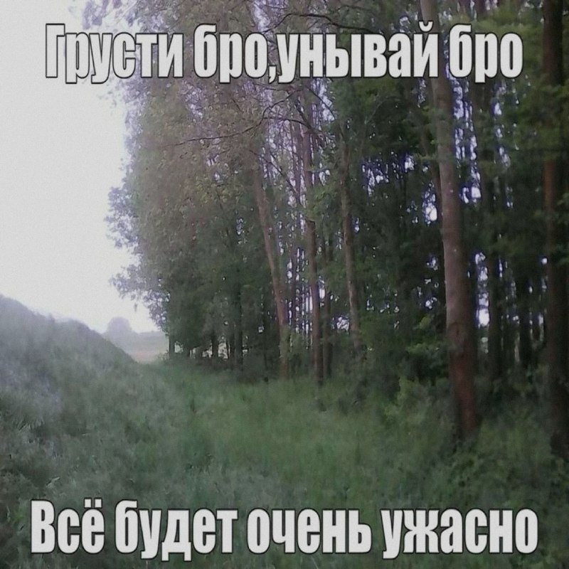 Ночная подборочка
Колобок умрет на 1:24:49