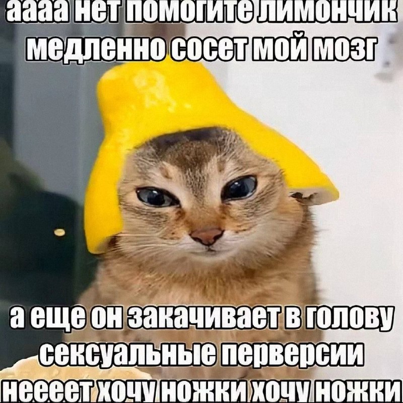 Утренняя подборочка