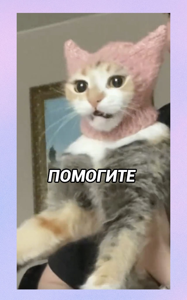 Наступили холода, пора утепляться, но ей почему-то не п?...