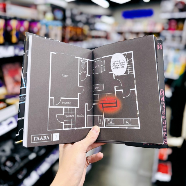 «Я, еще только глянув на план, подумал: какой странный д...