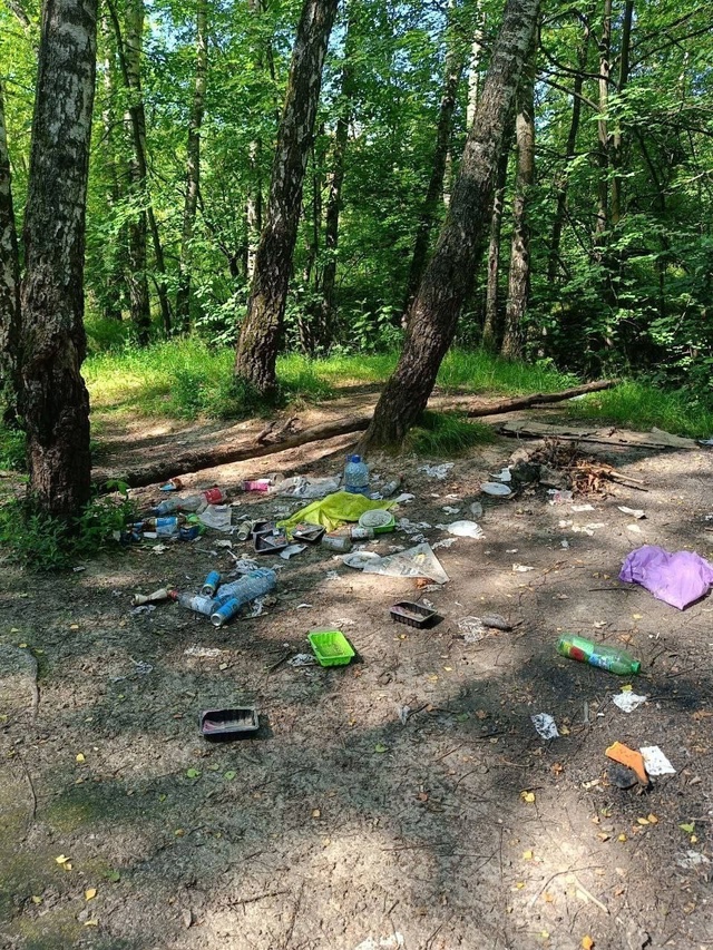 🗑 Вот что остаётся в Лосином острове после отдыха
Ст...