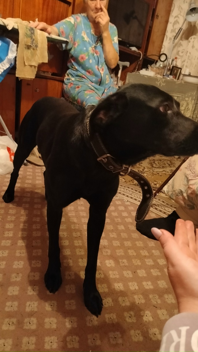 Эта очаровательная девочка Ютта, к сожалению, осталась...