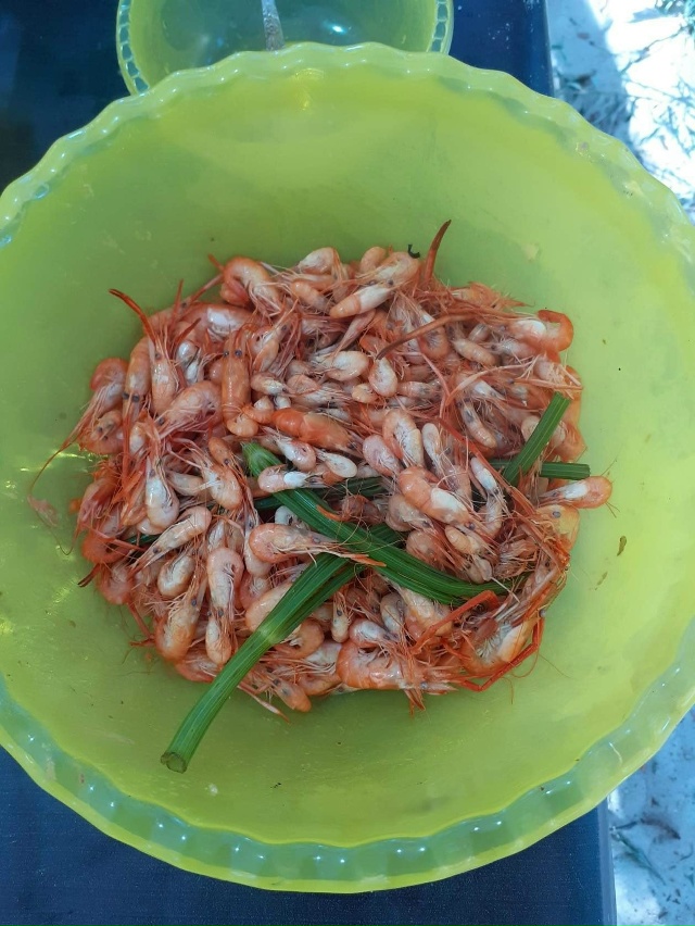 Здравствуйте, дорогие курчатовцы. Я очень часто бывал ?...