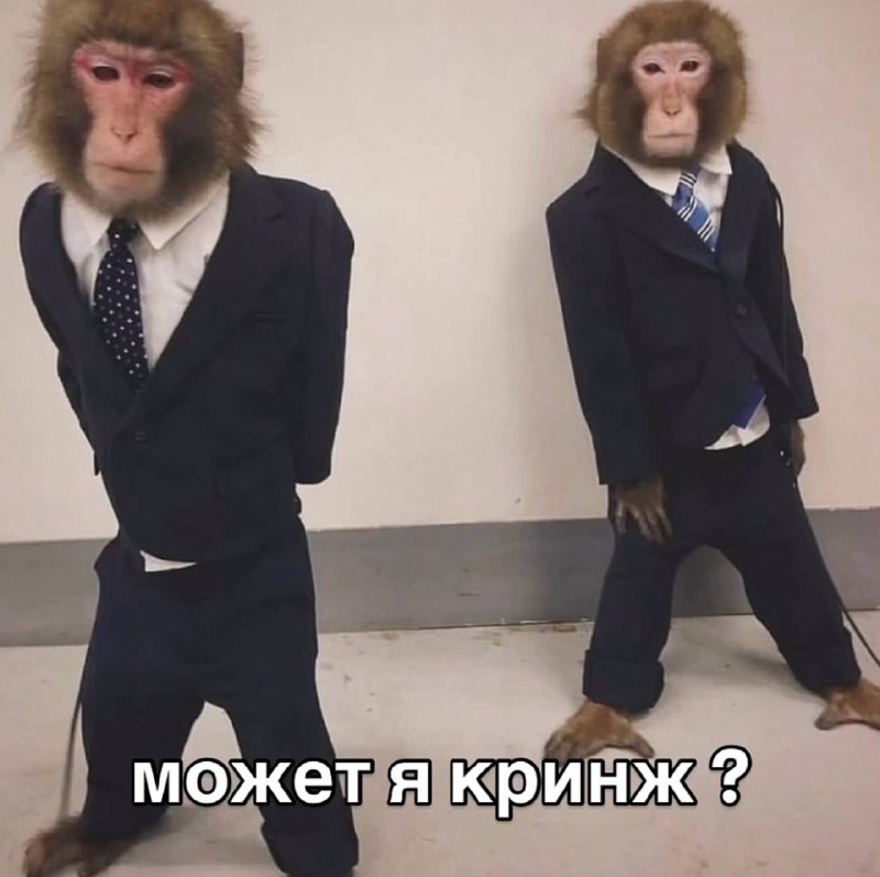 как ощущается выложить сторис, которую не лайкают даже самые преданные фанаты:
