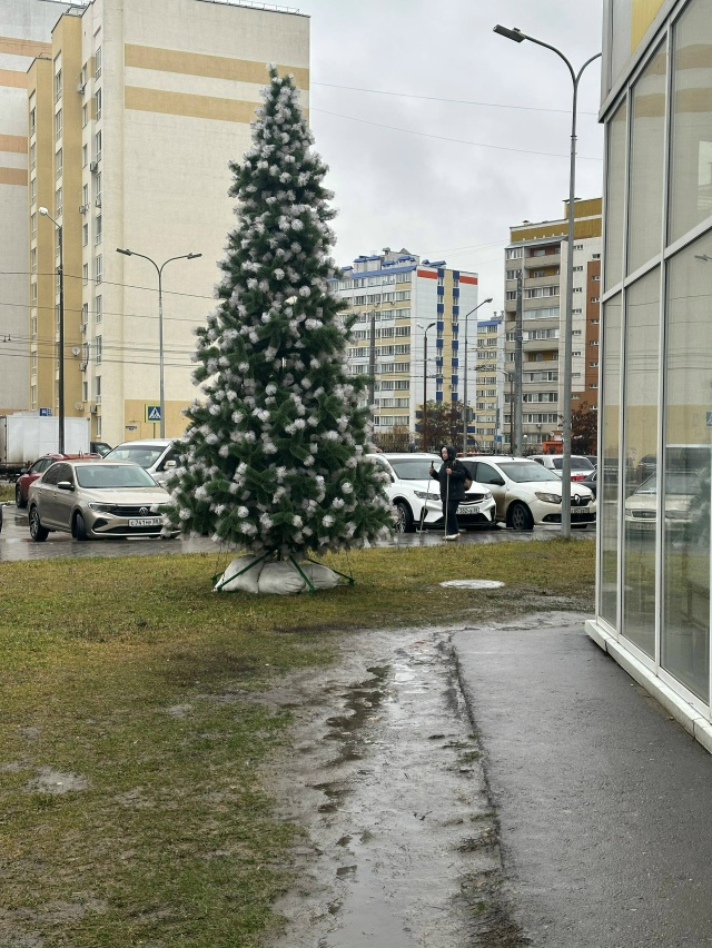 🎄Около ТЦ «Ашан» уже установили новогоднюю ель
Тем ?...
