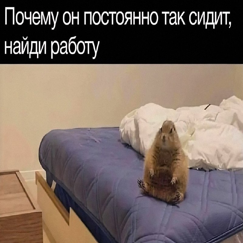 Утренняя подборочка