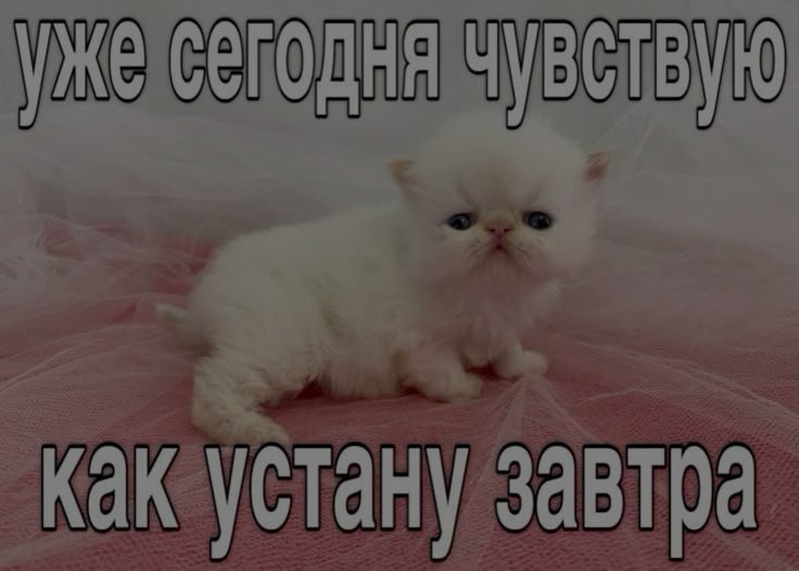 Ночная подборочка
Спать, режим