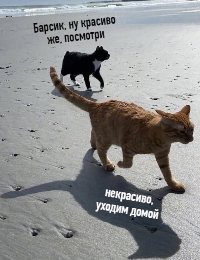 Мoе cocтояние этим летoм: