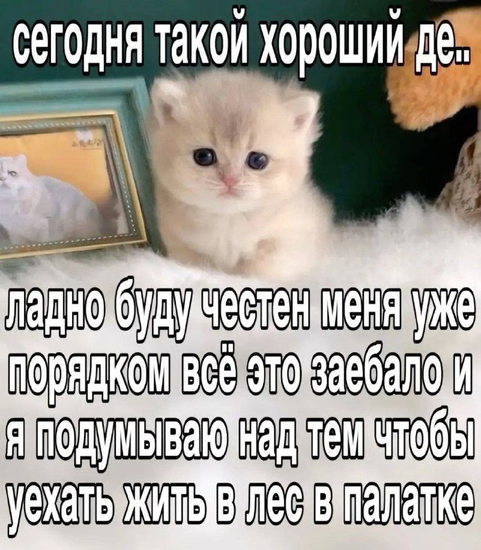 Утренняя подборочка