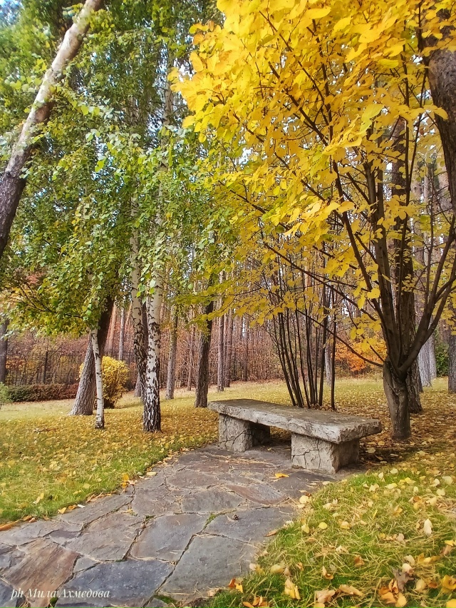 Тольяттинский лес, полон неожиданностей.🌲🐘🍁