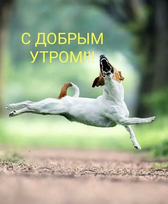 Доброе утро Подслушано!
