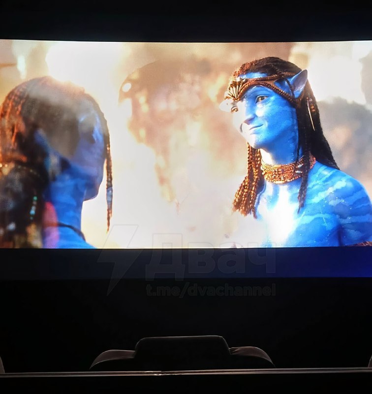 В российских кинотеатрах за 1000-2000 рублей показывают всратую экранку «Аватара 3»
Запись пытались