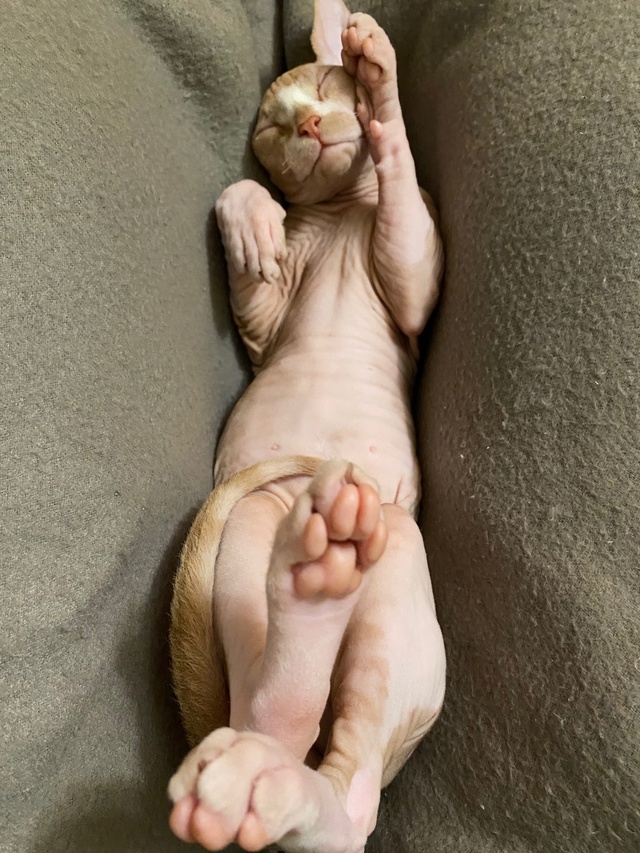 ?Мэджик ✨ Часть 1