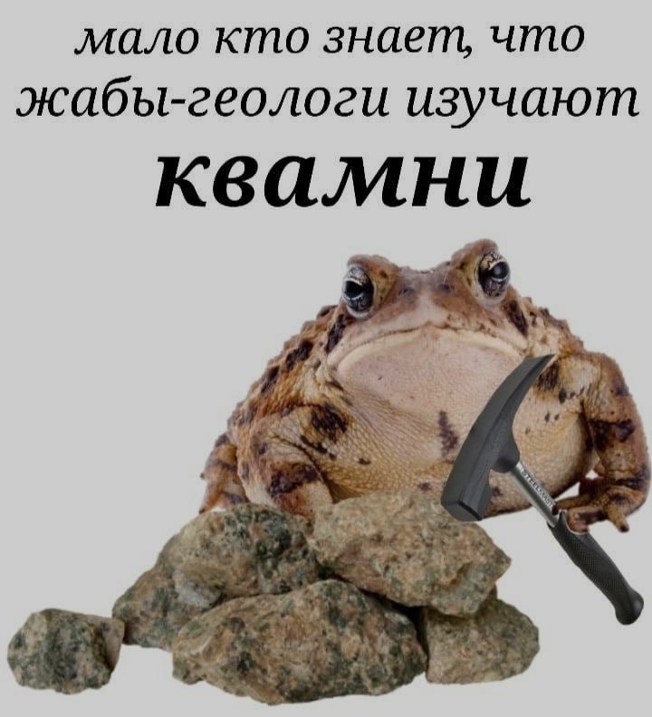 Ночная подборочка
Спать, режим