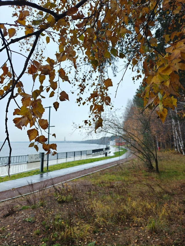 Доброе утро ⛅
Фото: Юрий Жарков