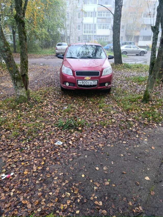А в Кадуе для красненьких машин газоны для стоянки?!? И ?...