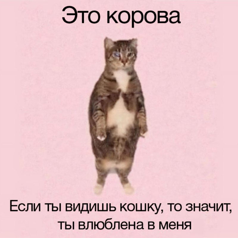 Ты знаешь, кому это отправить