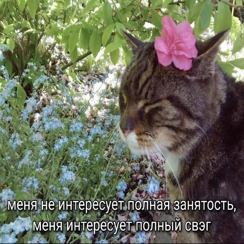 Утренняя подборочка