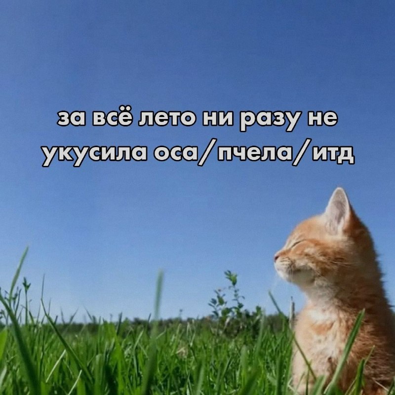 Ночная подборочка
Спать, режим