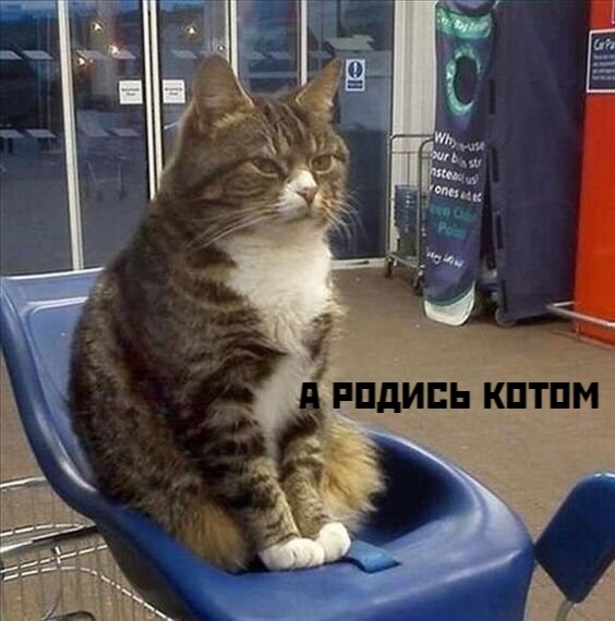 😂😂😂